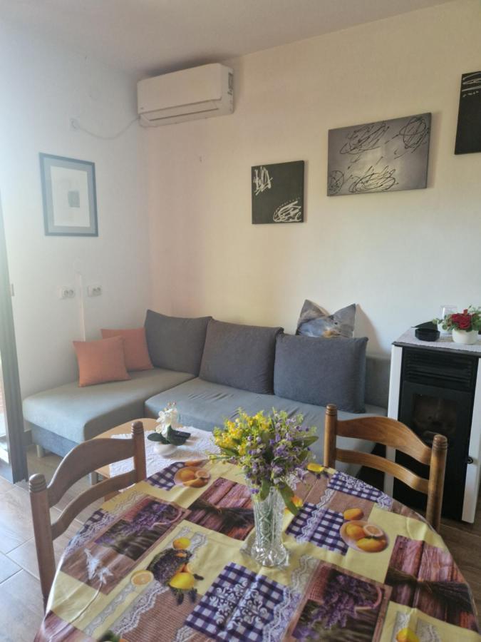 Apartment Vera